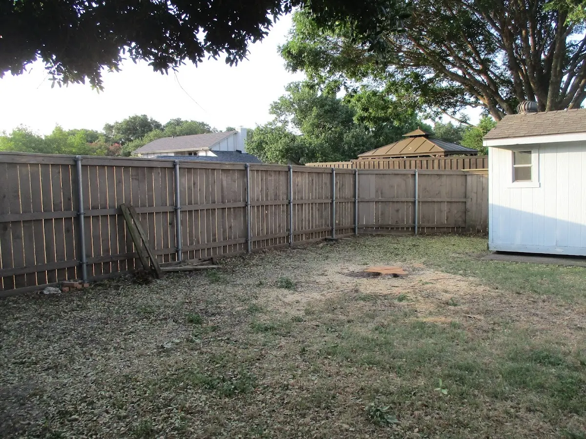 Cleared yard after professional tree removal in Unionville